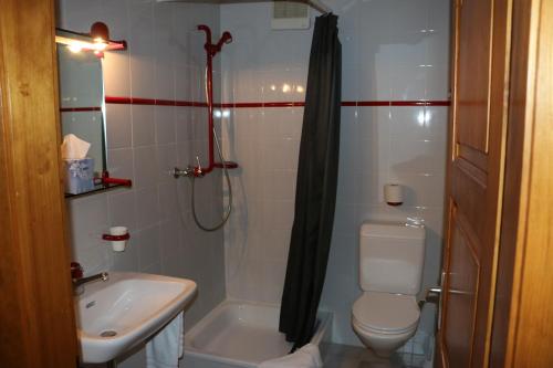 a bathroom with a shower and a toilet and a sink at Le Vieux Valais in Ovronnaz