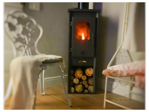 a wood burning stove with logs in a room at La Casina in Trecasali