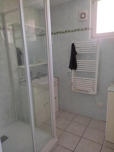 une salle de bain avec une douche en verre et un lavabo dans l'établissement Appartement calme et cosy, à Avignon