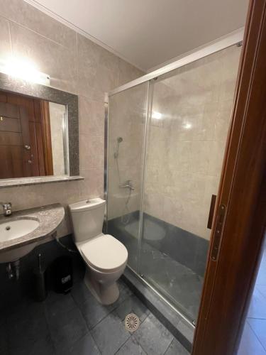 a bathroom with a shower and a toilet and a sink at Hotel THE OLIVE TREE in Olympos