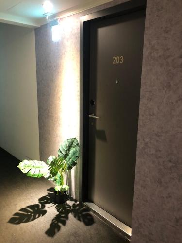 a plant is sitting in front of a door at Meworld Hotel - Songshan in Taipei
