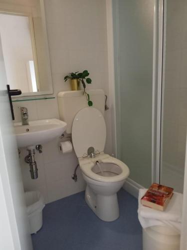ein Badezimmer mit weißer Toilette und Waschbecken in der Unterkunft Hotel Haiti in Milano Marittima