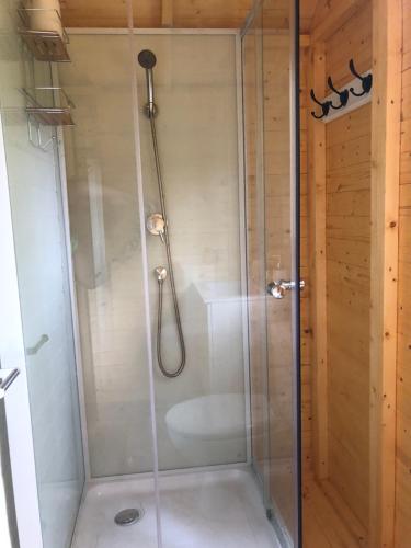 a shower with a glass door in a bathroom at ROULOTTE NATIRAA in Tarascon