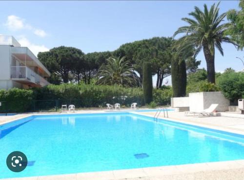 - une grande piscine dans un complexe avec des palmiers dans l'établissement appt St Tropez ,magnifique T2, piscine ,terrasse, emplacement ideal ,front de mer,, à Saint-Tropez