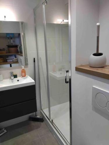 une salle de bain avec une douche en verre et un lavabo dans l'établissement appt St Tropez ,magnifique T2, piscine ,terrasse, emplacement ideal ,front de mer,, à Saint-Tropez