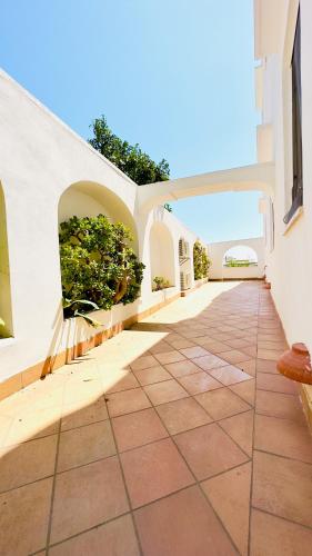 an empty courtyard of a building with plants at Villa La Zagara by CapriRooms in Capri