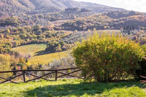 Φυσικό τοπίο κοντά σε αυτό το διαμέρισμα