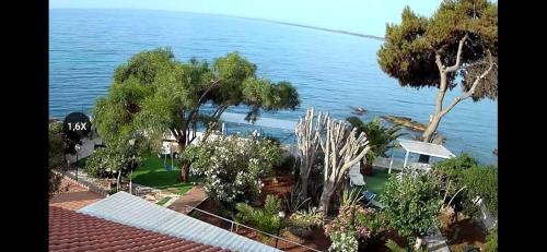 an aerial view of a house and the ocean at La Caletta di Afrodite in Calabernardo