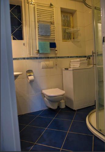 a bathroom with a toilet and a shower at Apartments Kokić in Zavala