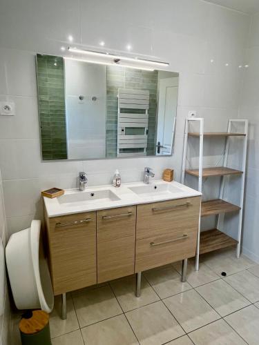 une salle de bain avec un lavabo et un miroir dans l'établissement Gîte Basilic, à Saint-Aignan