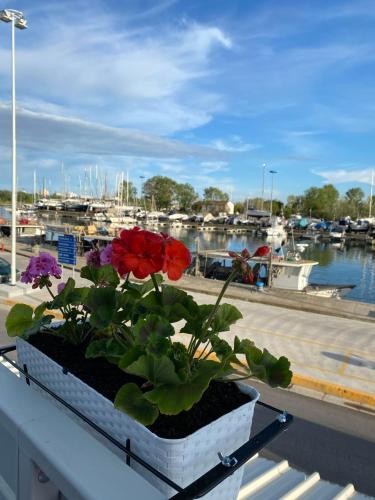 a flower pot on a window sill with a marina at B&B Nonna Maria in Porto Garibaldi
