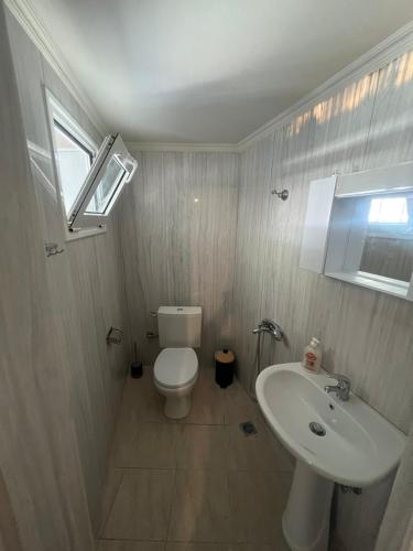 a bathroom with a white toilet and a sink at Kariofilli's house in Áyios Athanásios