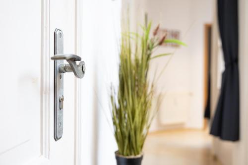 a door with a potted plant in a room at Apartments an der Oper - Innenstadt - Zentral - Küche - Wifi - Powered by Ko-Living in Halle an der Saale