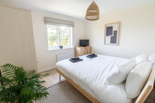 Un dormitorio con una gran cama blanca y una planta en The Bright House, St Eval - near Padstow, Mawgan Porth, Watergate, Bedruthan & Porthcothan en Saint Ervan
