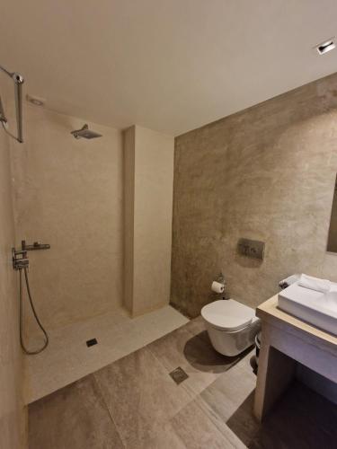 a bathroom with a shower and a toilet and a sink at Galaxy Suites & Villas in Imerovigli