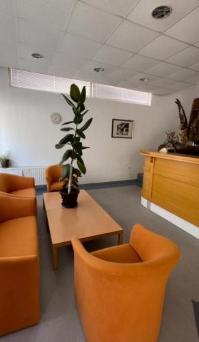 a waiting room with orange chairs and a potted plant at Motel and Restaurant Odušak in Drežnjak