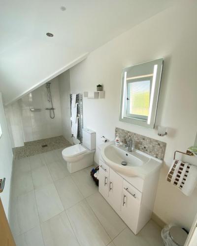 a white bathroom with a sink and a toilet at Ardbrin Lodge in Dunadry
