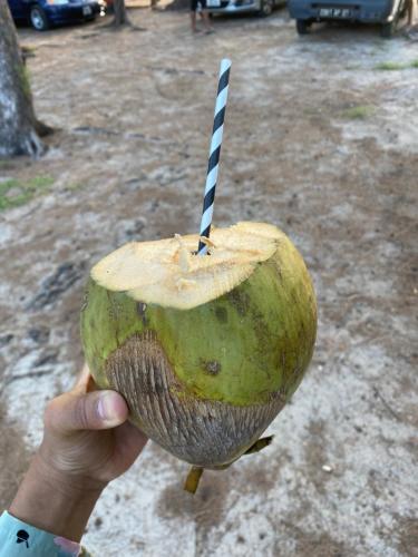 a person holding an apple with a stick in it at Just Chill Villa in Trou aux Biches