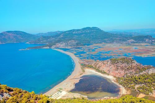 Gallery image of Aysel Villa in Ortaca