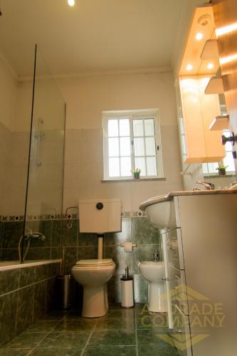 a bathroom with a toilet and a sink and a shower at Solar da Calçada in Pinhão