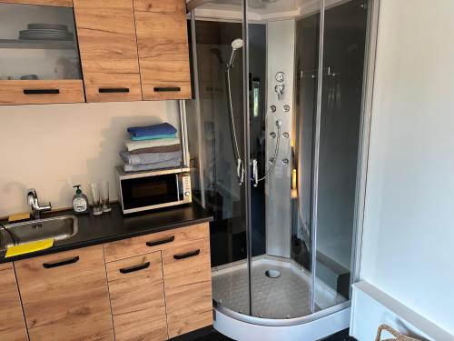 a bathroom with a shower with a sink and a microwave at B&B de Wiekeborg in Oude Pekela