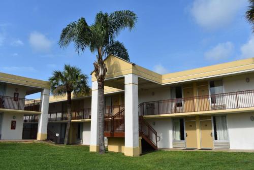 an exterior view of a building with palm trees at Super 8 by Wyndham Ocala I-75 in Ocala