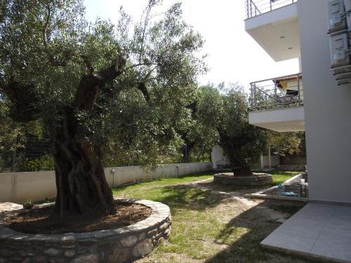 two trees in a yard next to a building at Sandra's luxury stay in Akti Salonikiou