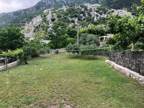 Gallery image of Olive Apartment in Kotor