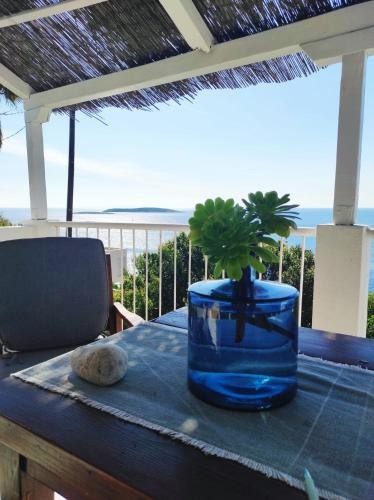 a table with a plant in a blue pot on a table at Getaway house Gundula in Podstražje
