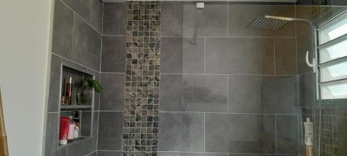 uma casa de banho com um chuveiro com azulejos cinzentos em KAZ A NINE em Saint-Pierre