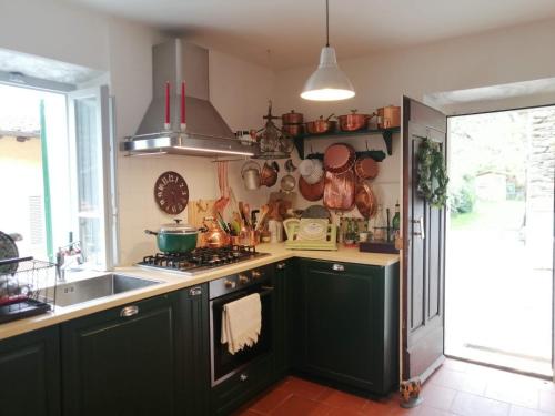 uma cozinha com armários verdes e um fogão forno superior em Il Metato di Gallena em Stazzema