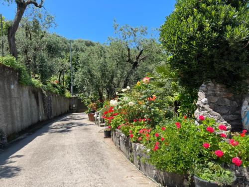 Taman di luar La Badia Montechiaro - Breathtaking View of Sorrento Coast