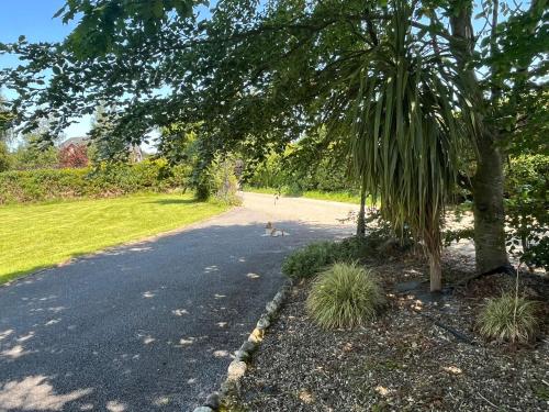 Zahrada ubytování graiguenamanagh Homestay