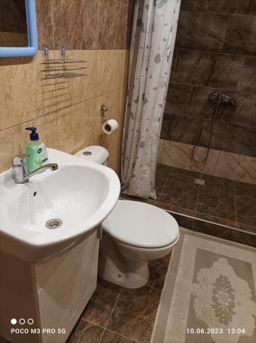 a bathroom with a sink and a toilet and a shower at Winnica u Mirki in Gurkovo