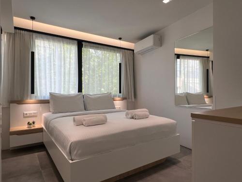 The Dazzling Glimpse Acropolis Suites