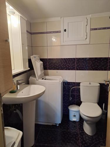 ニドリにあるNIKOLAS HOUSEの白いトイレと洗面台のあるバスルーム