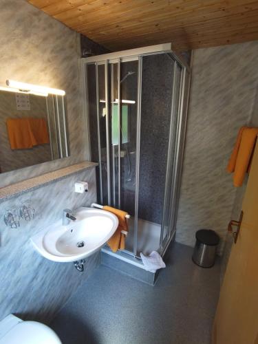 uma casa de banho com um lavatório e um chuveiro em Hotel im Klosterring em Villingen-Schwenningen