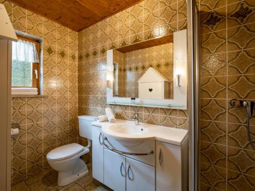 a bathroom with a toilet and a sink and a mirror at Berggasthof Bichlersee in Oberaudorf