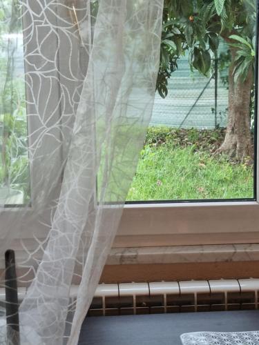 a window with a white curtain and a tree at Alloggio Silva in Gorizia