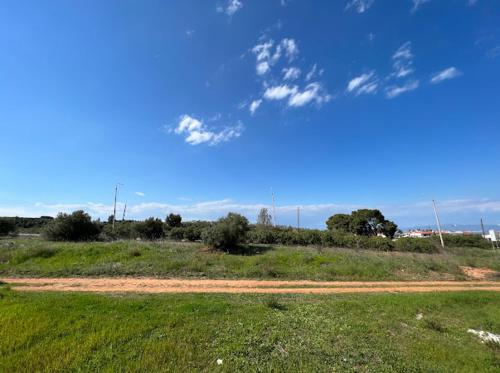 Φυσικό τοπίο κοντά σε αυτή η παραθεριστική κατοικία