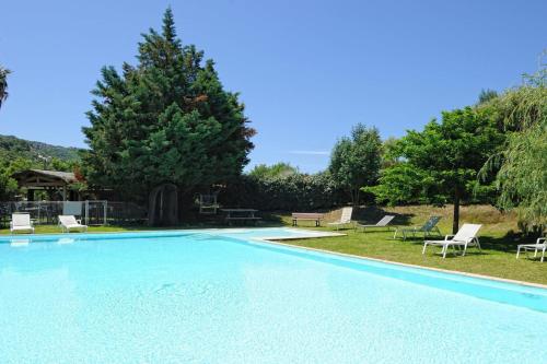 une grande piscine avec des chaises et un arbre dans l'établissement Chambre d'Hôtes Domaine Pero Longo, à Sartène