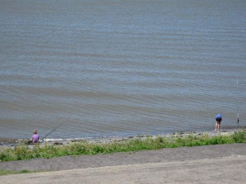 Gambar di galeri bagi Bed and Breakfast De Zeehoeve di Harlingen