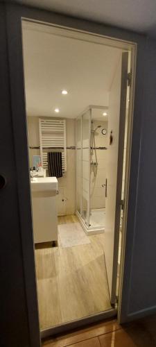 une salle de bain avec une douche, un lavabo et un miroir dans l'établissement Bordeaux Tranquility, à Bordeaux