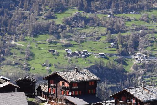 a group of houses in a valley with a mountain at Alte Bock 2.0 in Grächen