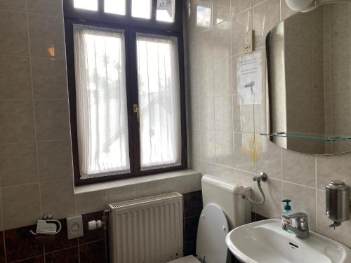 a bathroom with a toilet and a sink and a window at Youth Hostel & Penzion Bledec in Bled