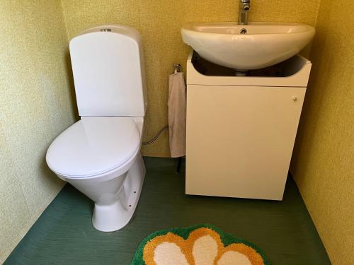 a bathroom with a white toilet and a sink at Stuga centrala Färjestaden med gångavstånd till det mesta in Färjestaden