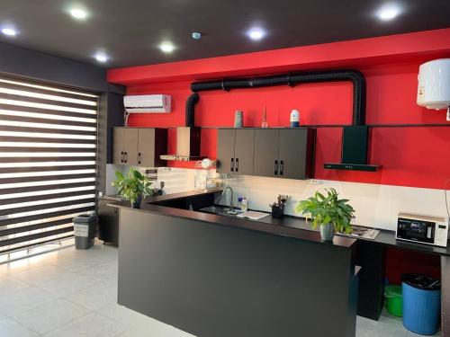 a kitchen with red walls and a counter with plants at Safarov's Family Hostel in Tashkent