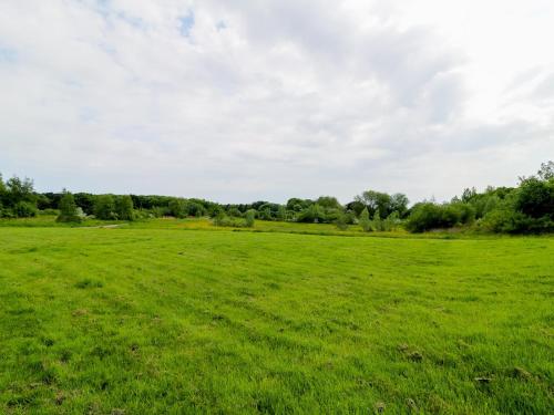 a field of green grass with trees in the background at Modern Room with Private Outdoor space Pass The Keys in Gosforth