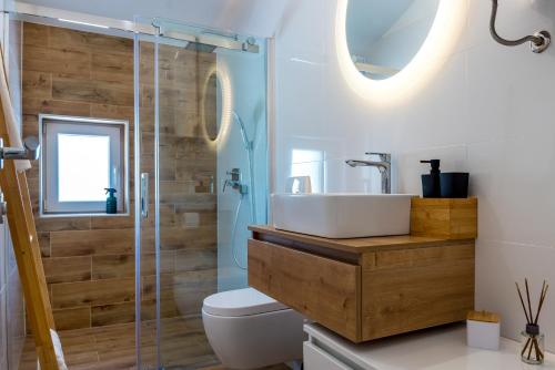 ein Bad mit einem WC, einem Waschbecken und einer Dusche in der Unterkunft VILLA LUNA in Skradin