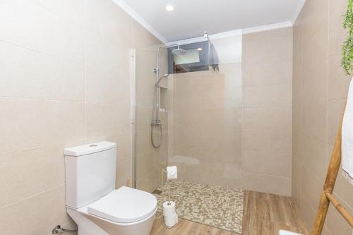 a small bathroom with a toilet and a shower at Ilha Natura in Santana